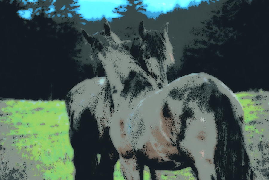 Horse Digital Art - Teamwork  by Kathy Sampson