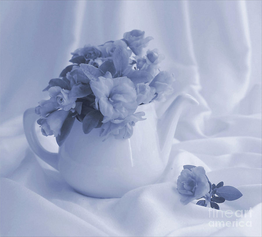 Teapot Photograph - Teapot And Flowers  by Luv Photography