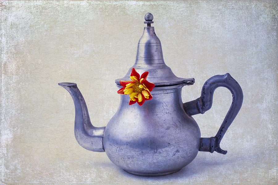 Teapot Photograph - Teapot Dahlia by Garry Gay