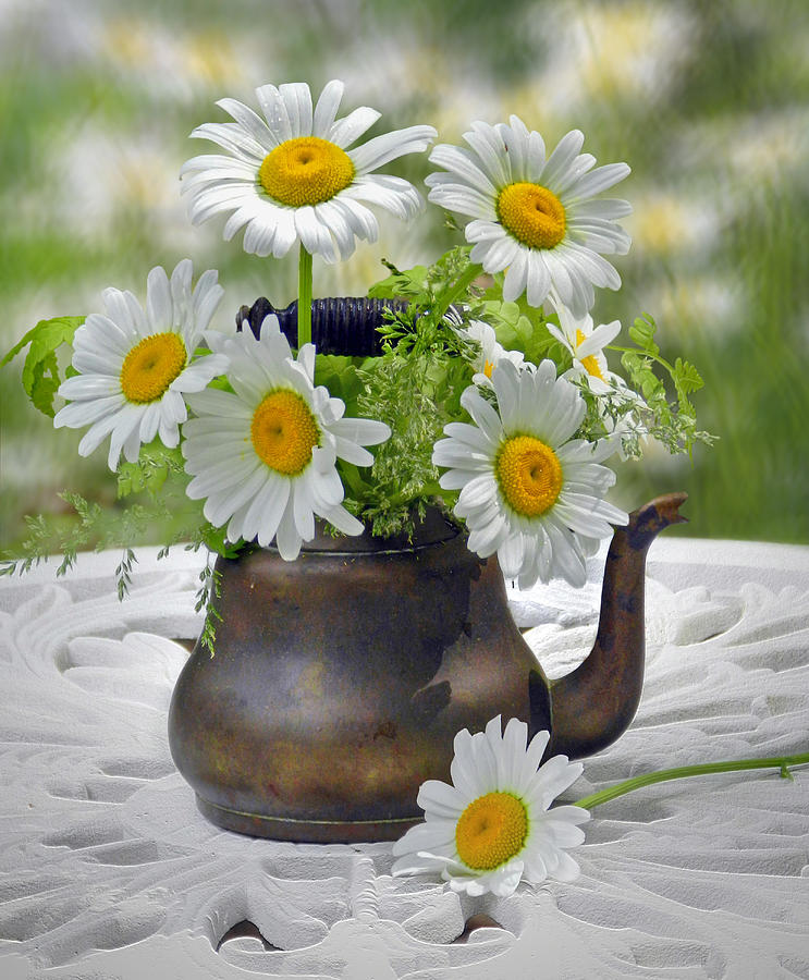 Teapot with Daisies Photograph by Nina Bradica