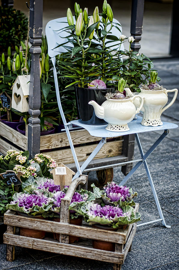 Teapots and Flowers Photograph by Heather Applegate