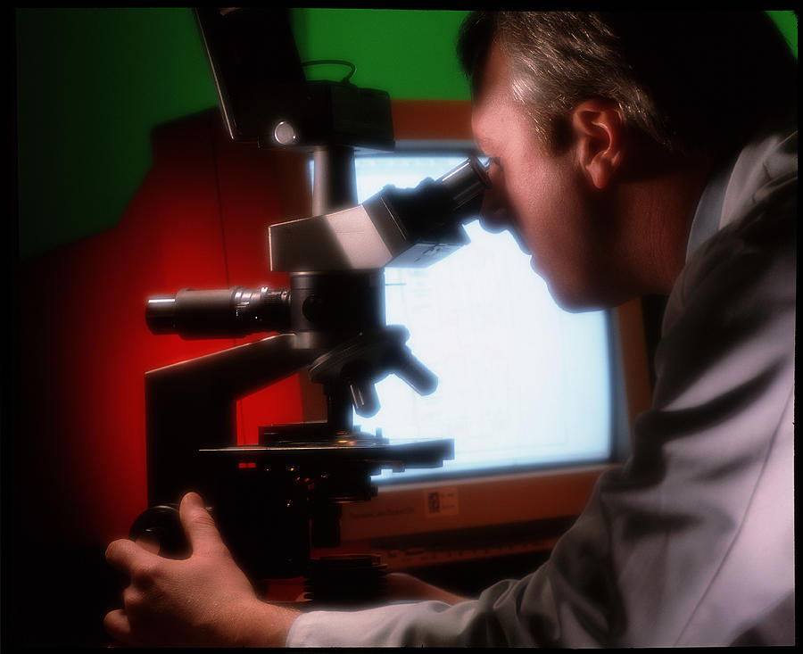 Technician Examines A Slide Under A Microscope Photograph by Deep Light/science Photo Library