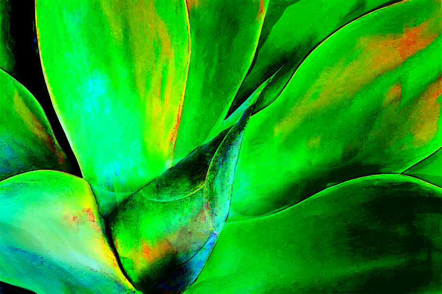 Desert Painting - Technicolor Succulent by Elaine Plesser