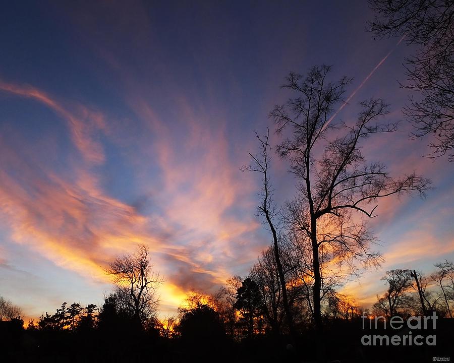 Technicolor Sunset Photograph by Lizi Beard-Ward