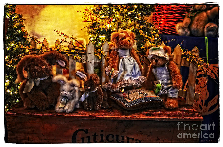 Remember Photograph - Teddy and Friends by Mary Machare