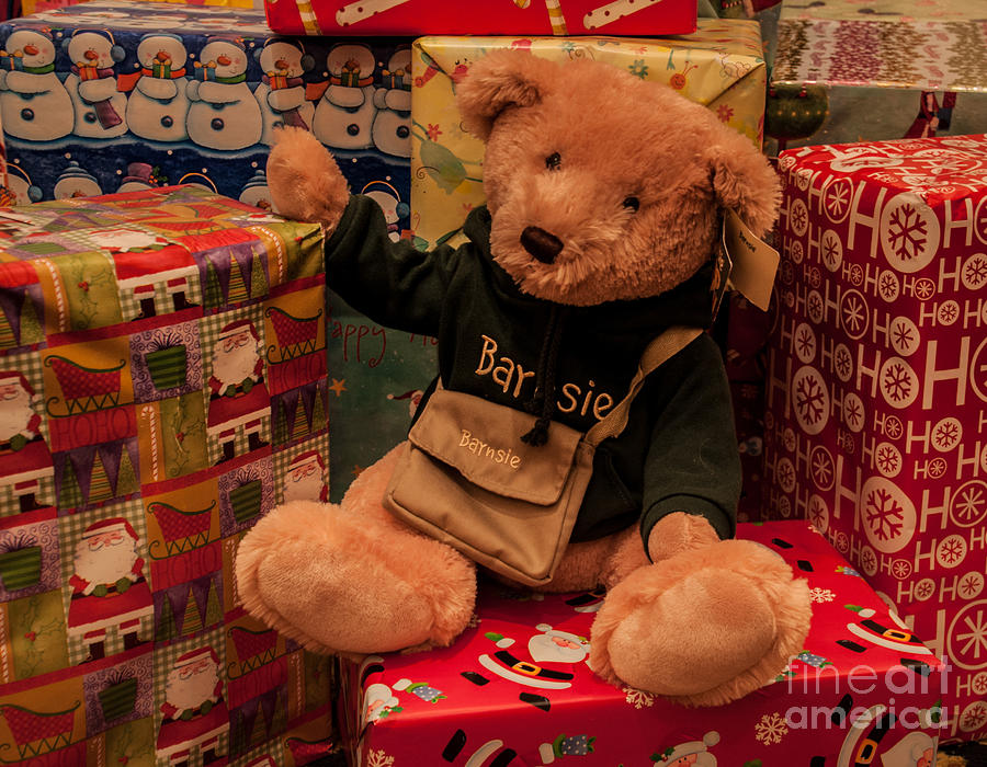 Teddy Bear and Christmas Photograph by Ronald Grogan