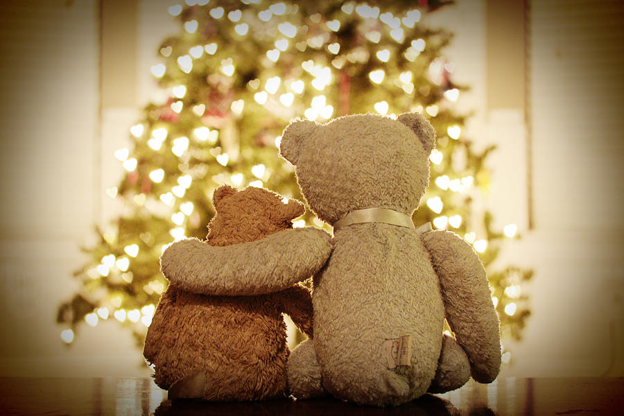 Teddy bear fiends at Christmas Photograph by Stephanie Mull Photography