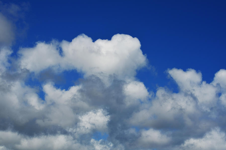 Nature Photograph - Teddy Bear Holding a Heart in the Clouds by Kai Hyde