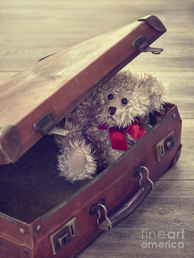 Vintage Photograph - Teddy Bear In Suitcase by Amanda Elwell