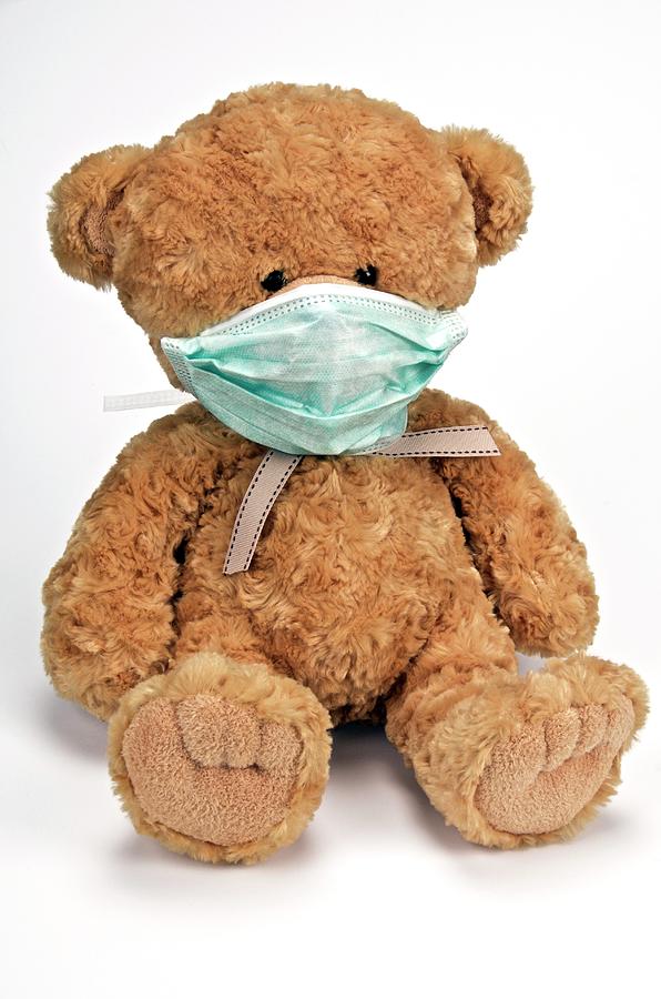 Teddy Bear Wearing A Face Mask Photograph by Lea Paterson/science Photo Library