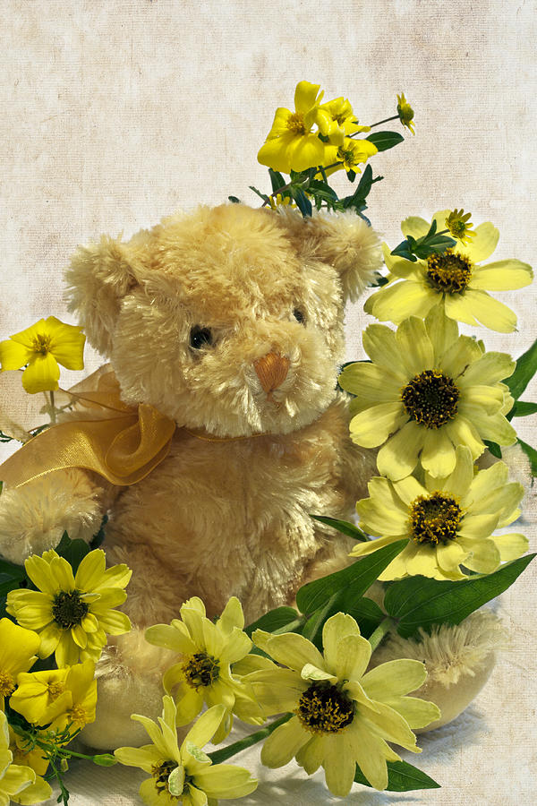 Flower Photograph - Teddy Bear - Yellow Toto Lemon Rudbeckia by Sandra Foster