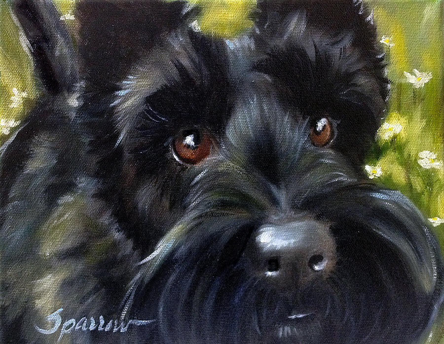 Teddy Painting by Mary Sparrow