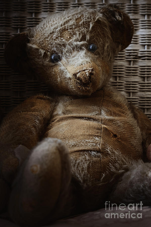 Teddy Photograph by Margie Hurwich