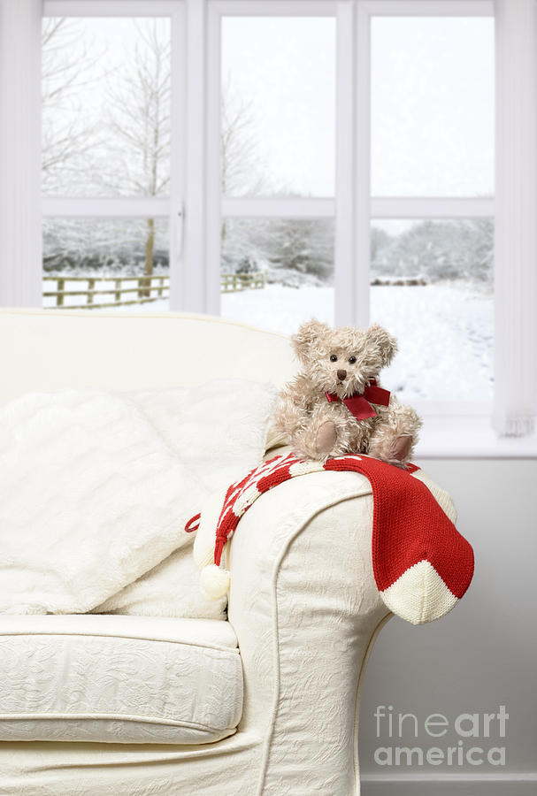 teddy sitting
