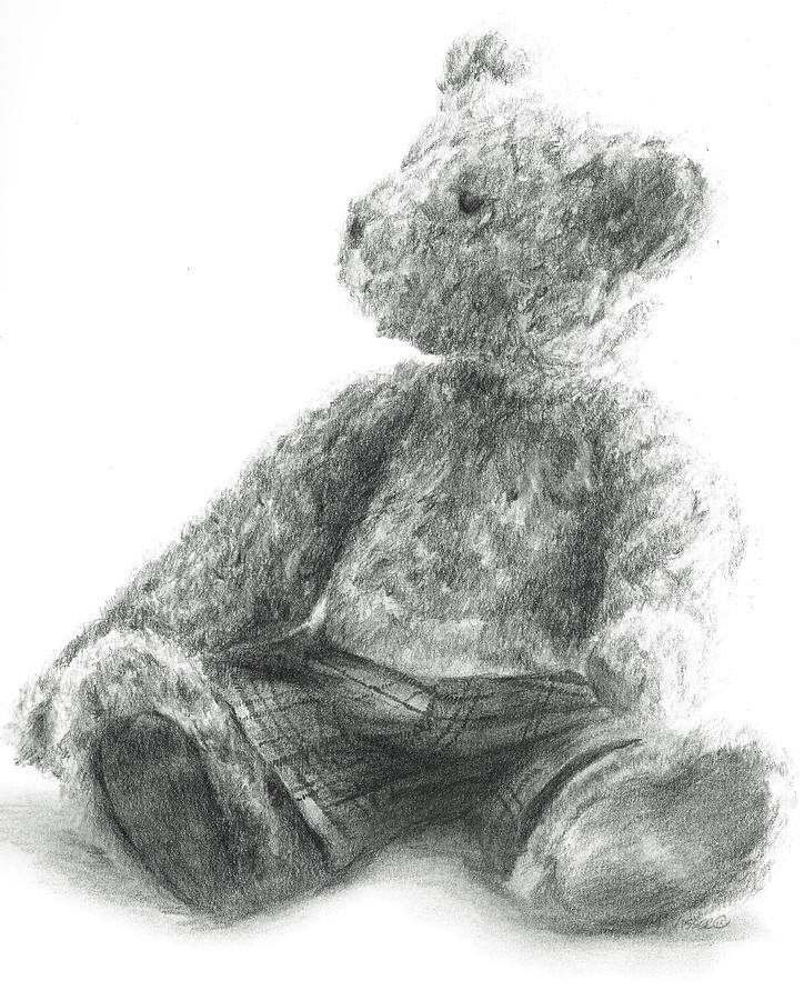 Teddy study Drawing by Meagan  Visser