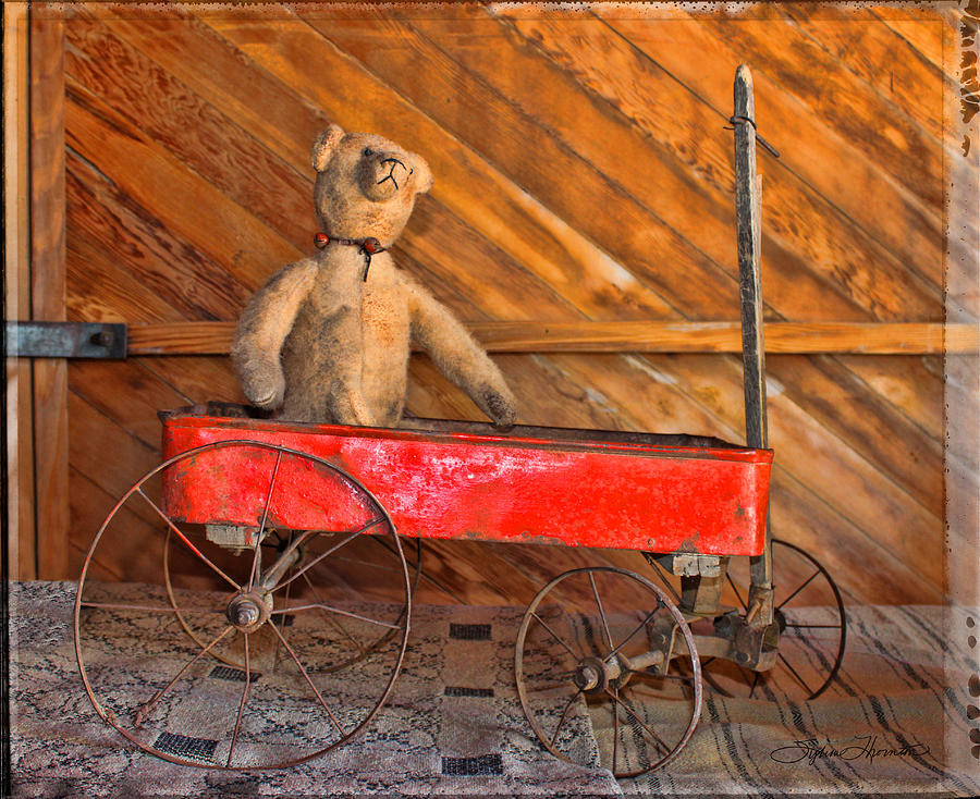 Teddy Takes A Ride Photograph by Sylvia Thornton