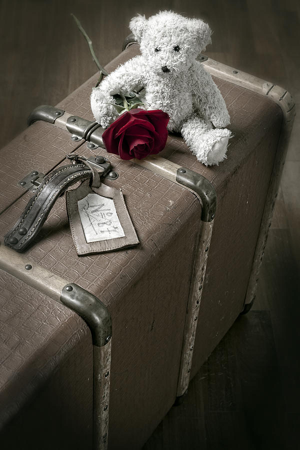 Vintage Photograph - Teddy Wants To Travel by Joana Kruse