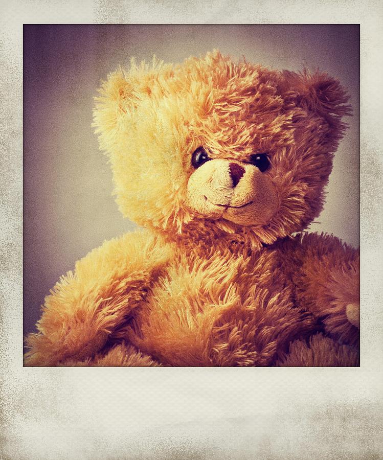 Teddybear Polaroid Photograph by Bradley R Youngberg