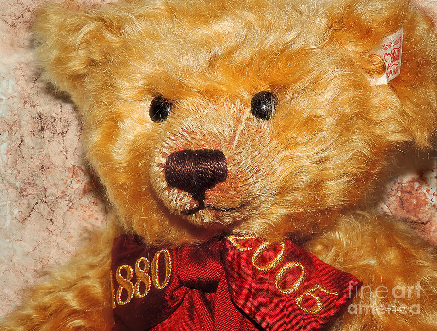 Bear Photograph - Teddys Anniversary by Jutta Maria Pusl