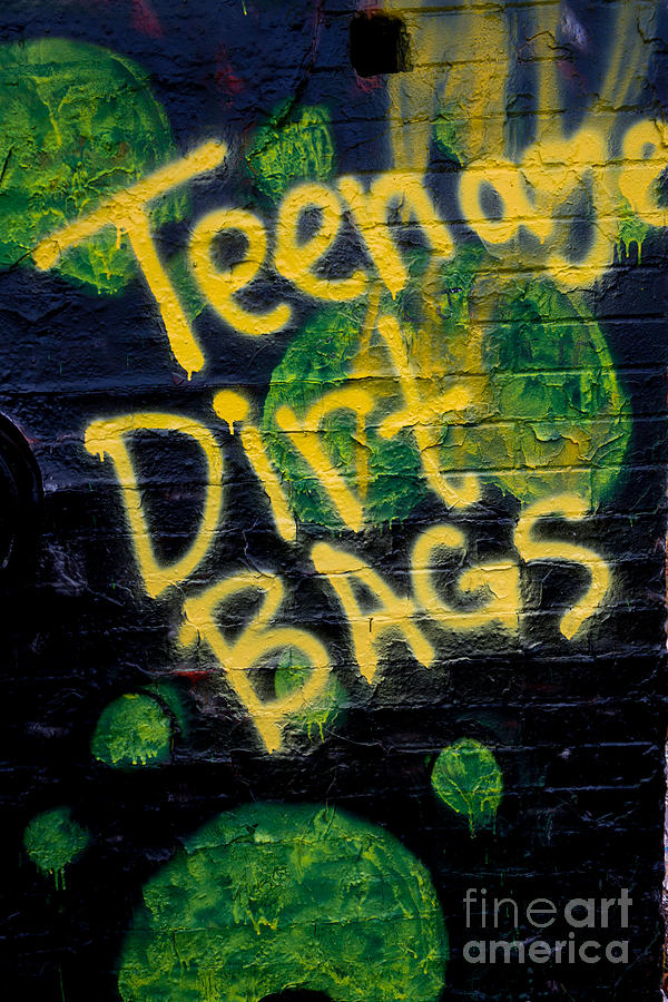 Graffiti Photograph - Teenage Dirt Bags by Amy Cicconi