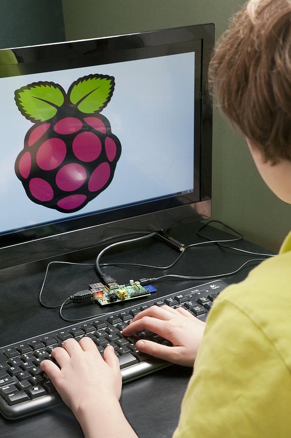 Raspberry Pi Photograph - Teenager using a Raspberry Pi by Science Photo Library
