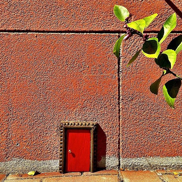 Teeny Tiny Door Photograph by Julie Gebhardt