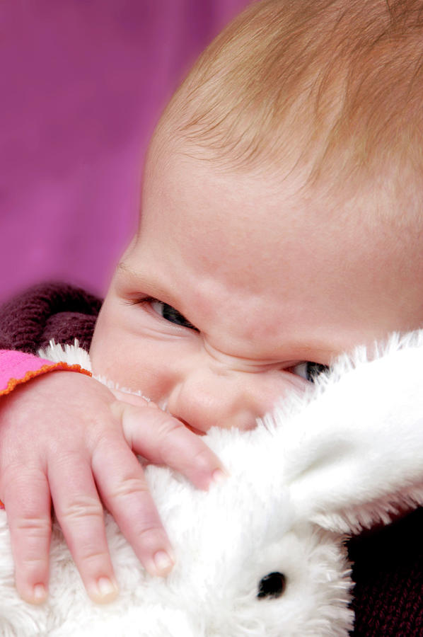 Teething Baby Photograph by Aj Photo/science Photo Library