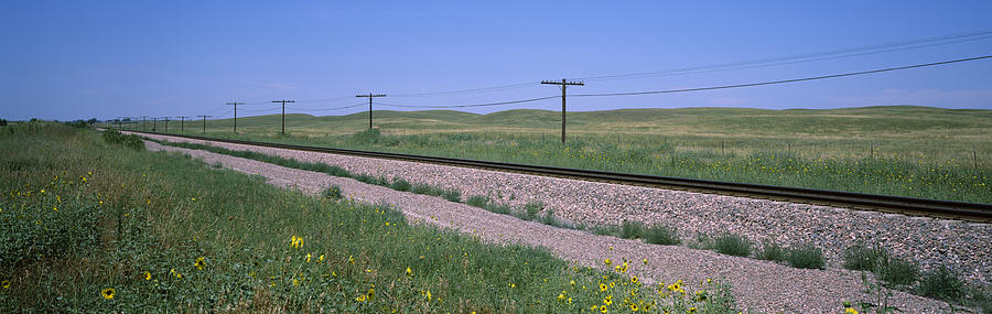 Nature Photograph - Telephone Poles Along A Railroad Track by Panoramic Images