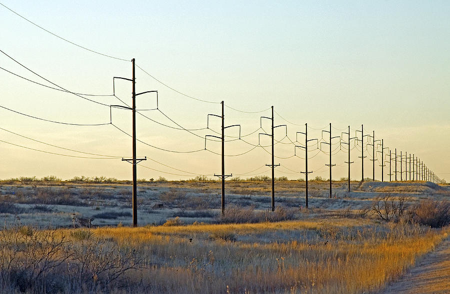 Telephone Poles, New Mexico Photograph by James Steinberg