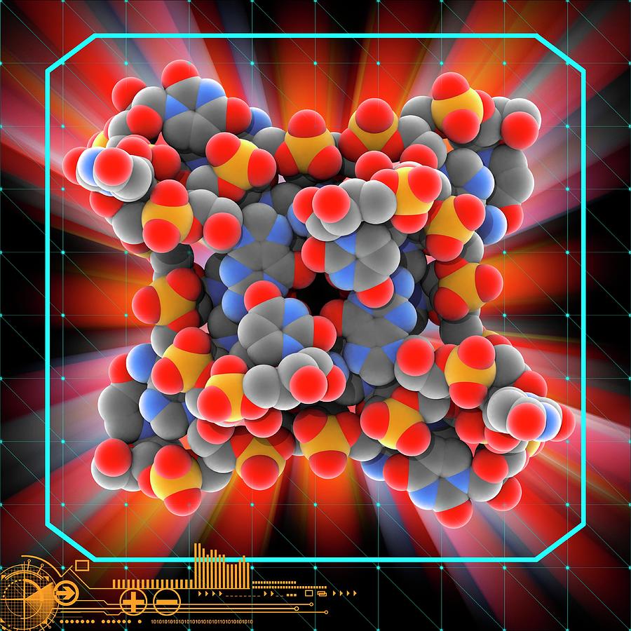 Telomeric Rna Molecule Photograph by Laguna Design/science Photo ...