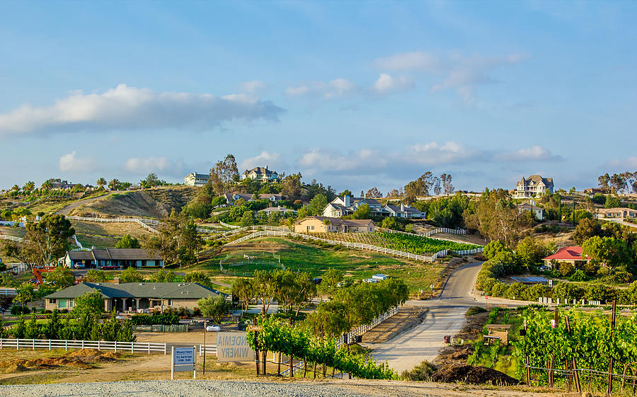 Temecula Valley Photograph by April Reppucci