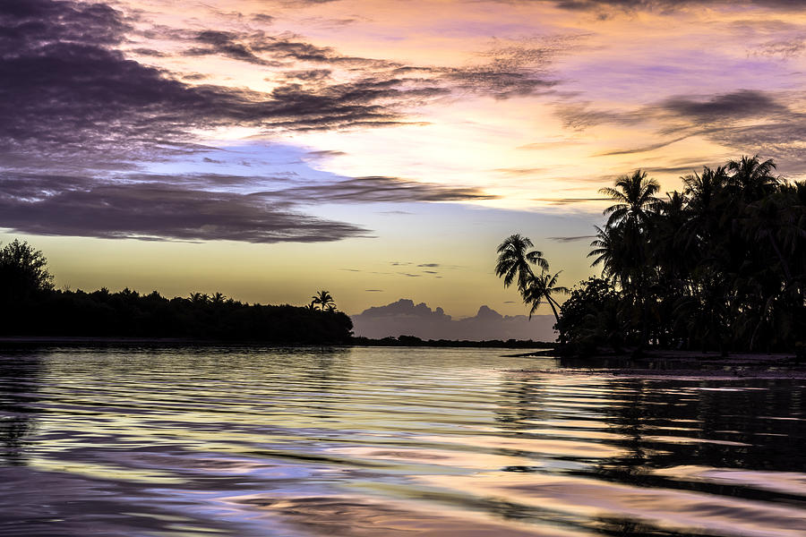 Tropical Paradise Photograph by Mel Ashar Tropical Paradise Photograph by Mel Ashar