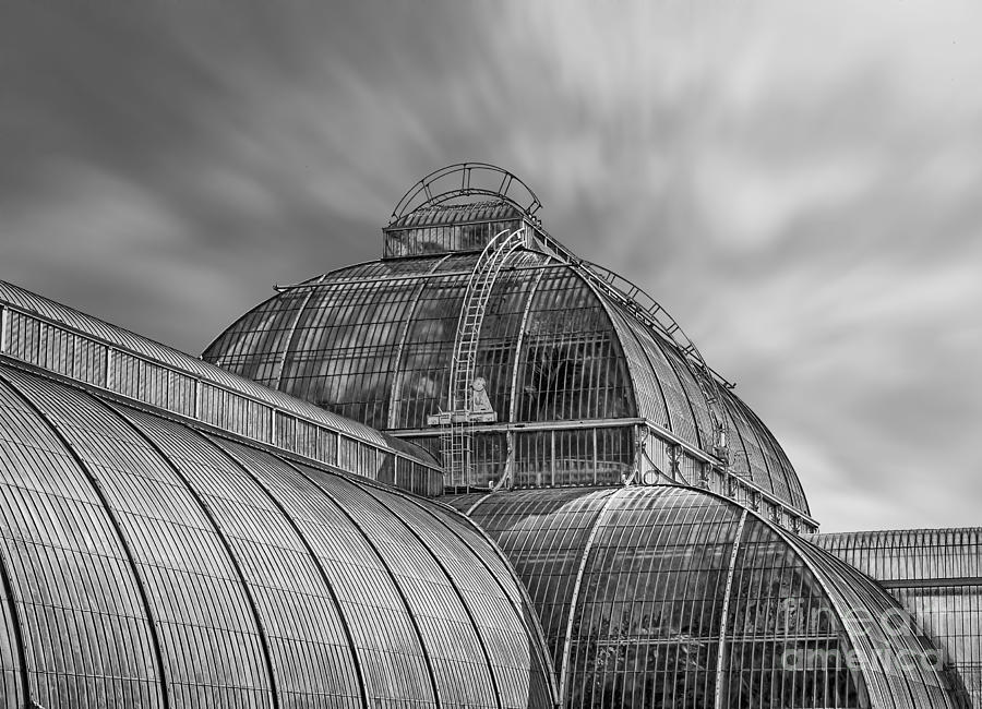 Temperate house Kew Gardens Black and White Photograph by Chris Thaxter