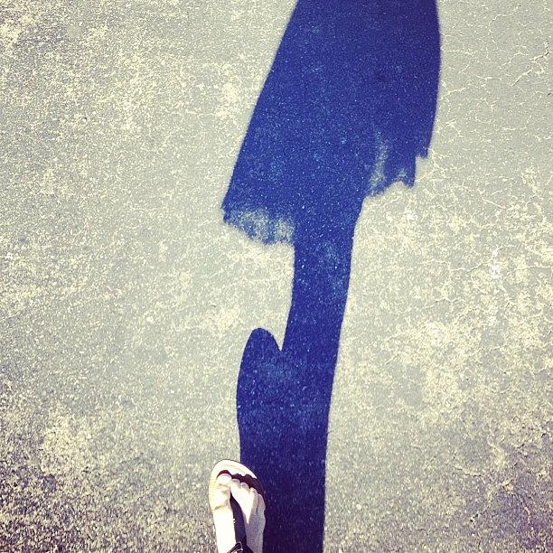 Temperleys Shadow Photograph by Emily Mulle