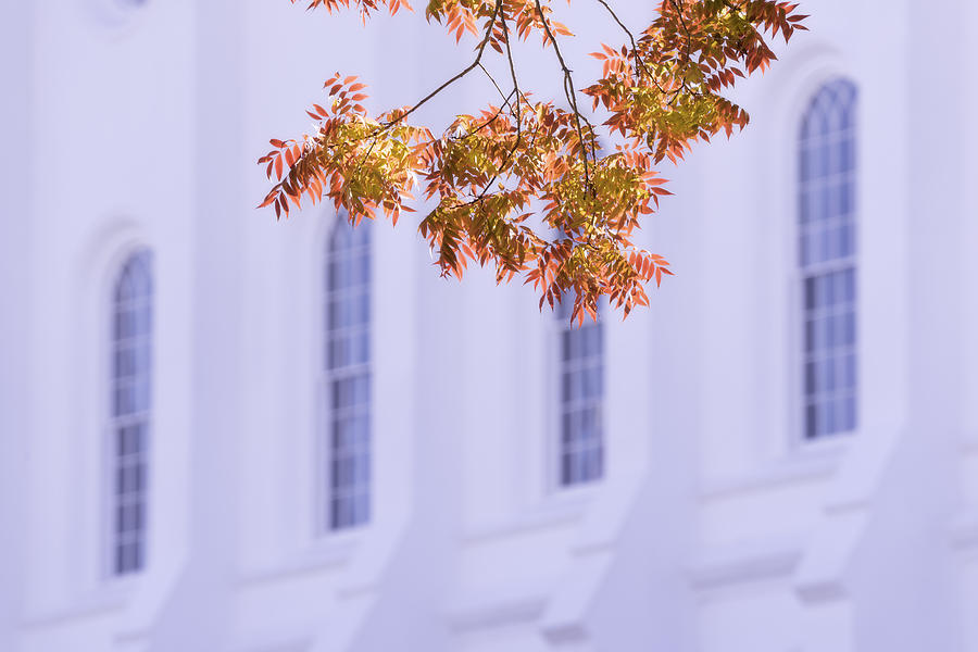 Fall Photograph - Temple Accent by Chad Dutson
