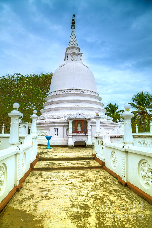 Buddha Photograph - temple complex at the tropical island Sri Lanka by Gina Koch