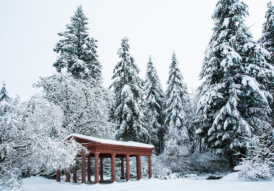 Temple In The Forest Photograph By Wolfgang Hauerken - Fine Art America