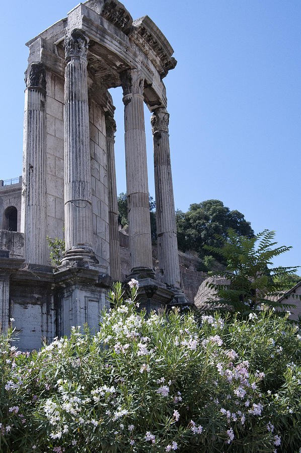Temple of Vesta Photograph by Melany Sarafis