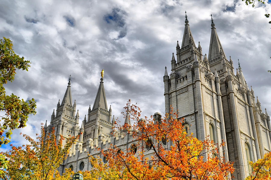 Salt Lake City Photograph - Temple Trees by Spencer Hughes