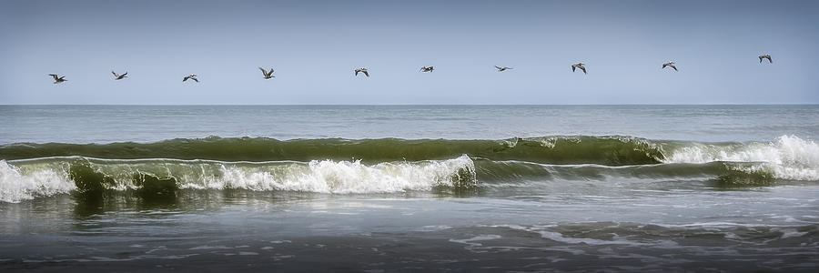 Impressionism Photograph - Ten Pelicans by Steven Sparks