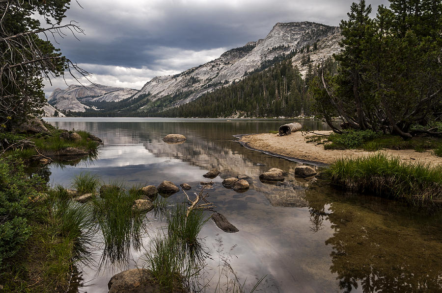 Tenaya Lake Outlet Photograph by Cat Connor