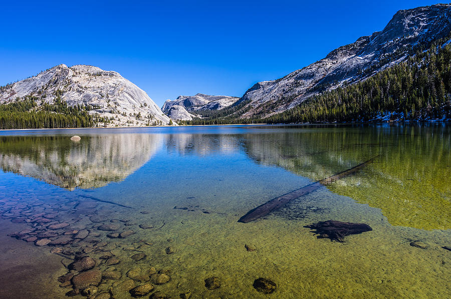 Tenaya Lake Yosemite National Park Photograph by Scott McGuire