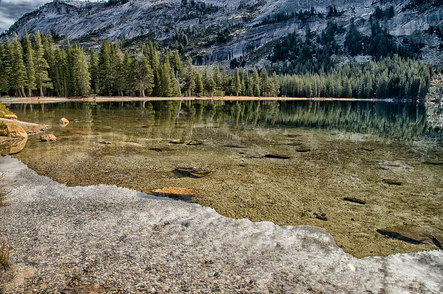 Yosemite National Park Photograph - Tenaya Reflections by Cat Connor