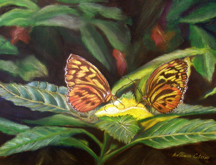 Butterfly Pastel - Tender Moment   Pastel by Antonia Citrino