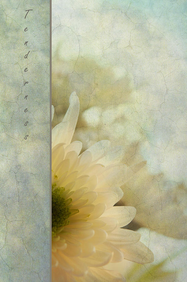 Flowers Still Life Photograph - Tenderness by Jenny Rainbow