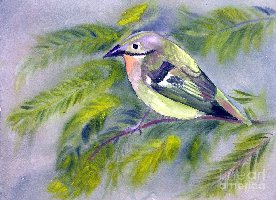 Tenerife Goldcrest Painting by Donna Walsh