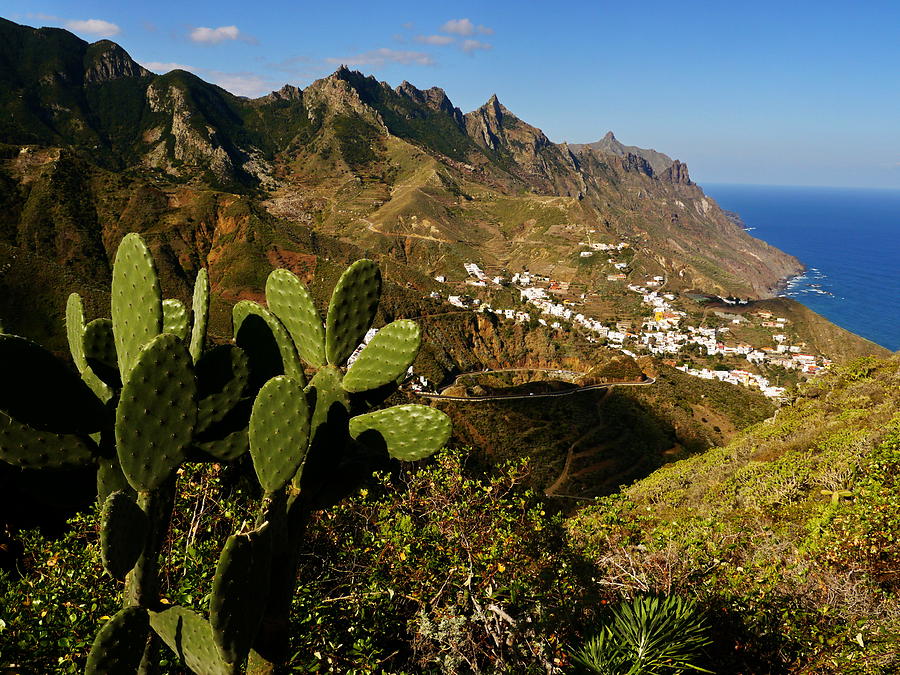Tenerife Photograph by Rolfo