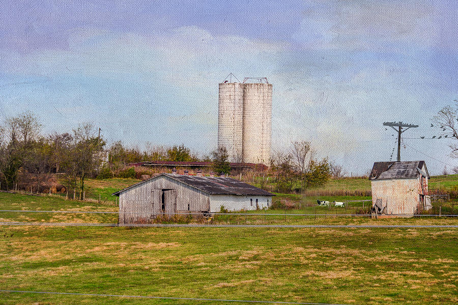 Tennessee Country Farm Photograph by Mary Timman