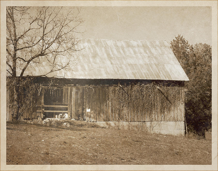 Tennessee Farm Vintage Barn Photograph by Phil Perkins