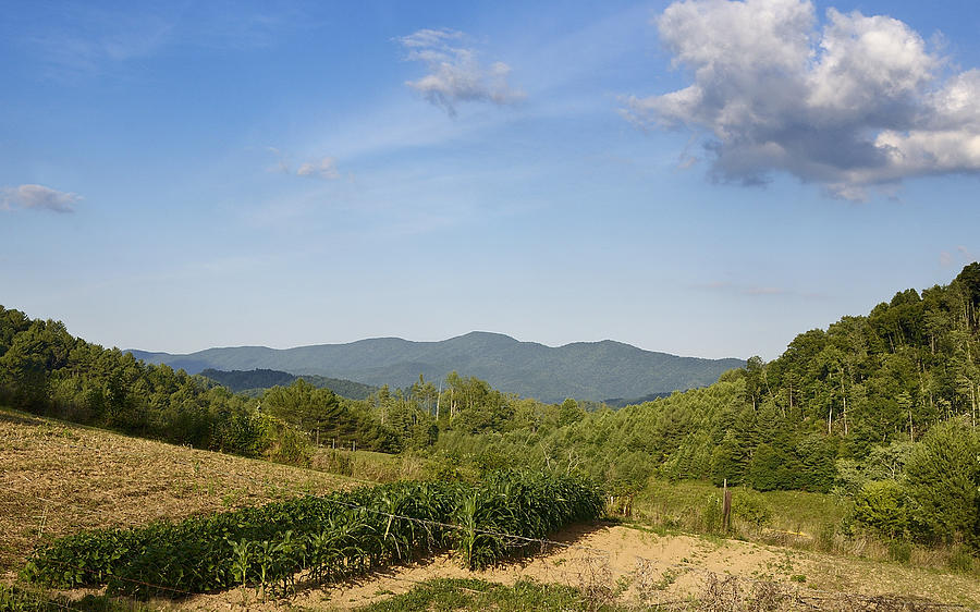 Tennessee Farmland Photograph by Brendan Reals
